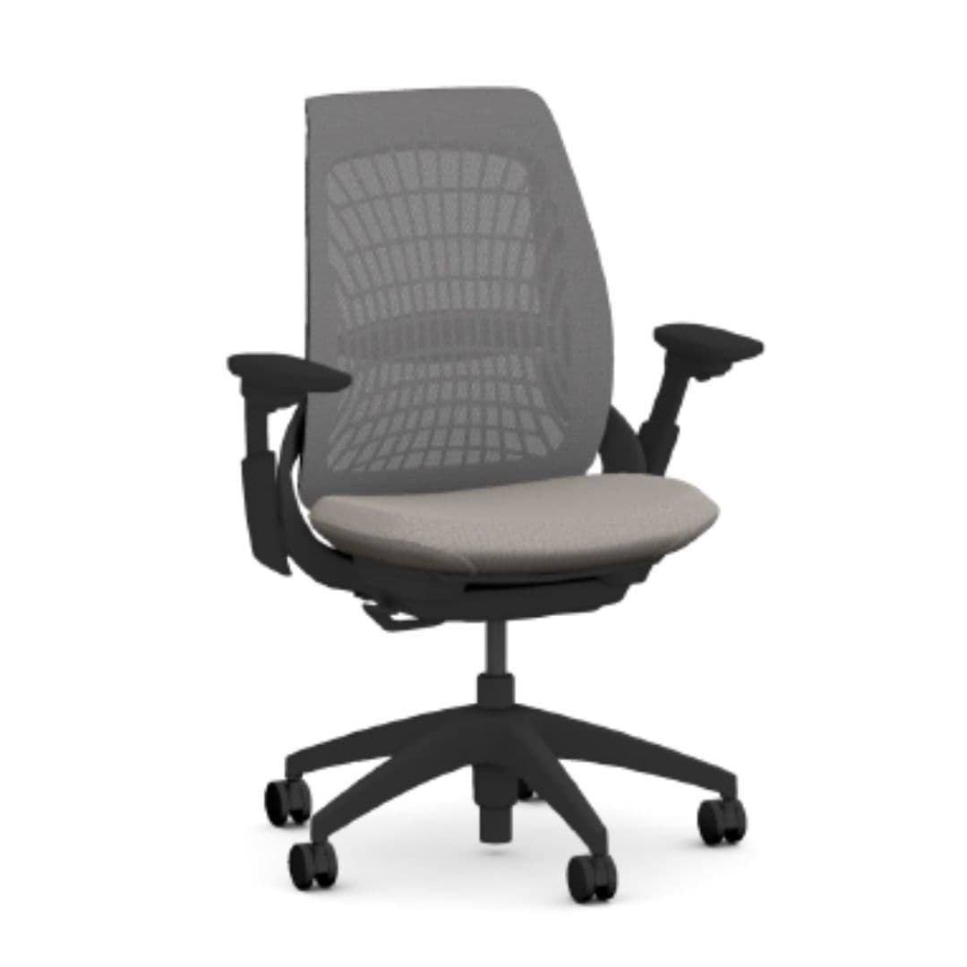 Mimeo Task Chair