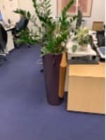 Plant Pot
