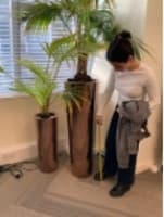 Plant Pot