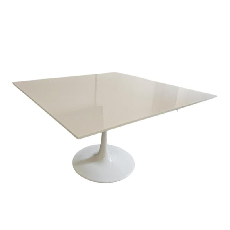 Plastic Dining Table