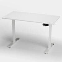 Sit/stand electric desks